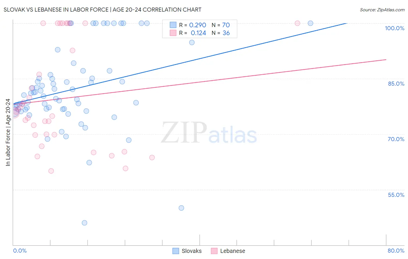 Slovak vs Lebanese In Labor Force | Age 20-24