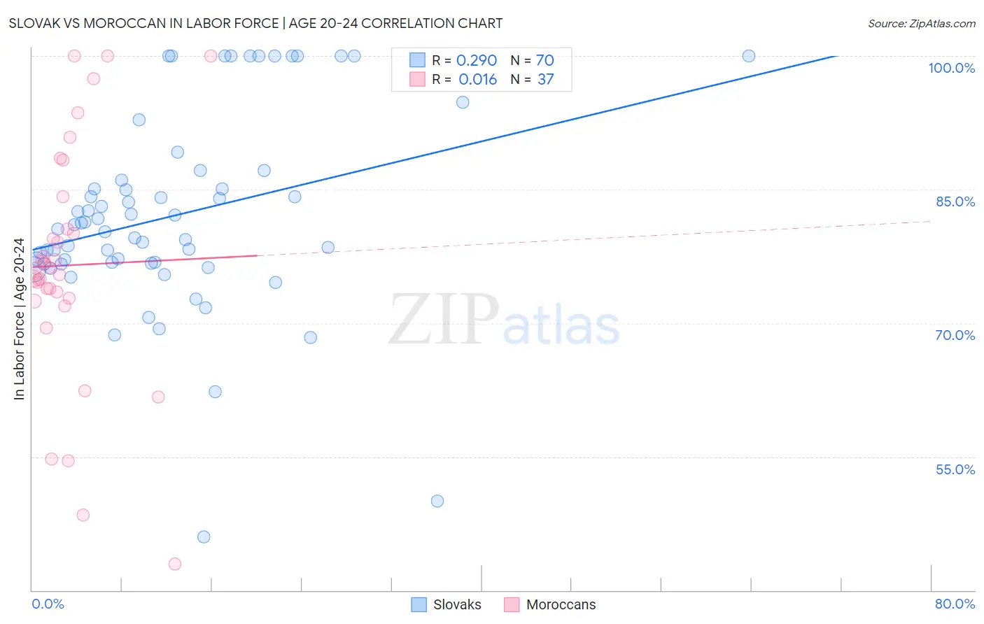 Slovak vs Moroccan In Labor Force | Age 20-24