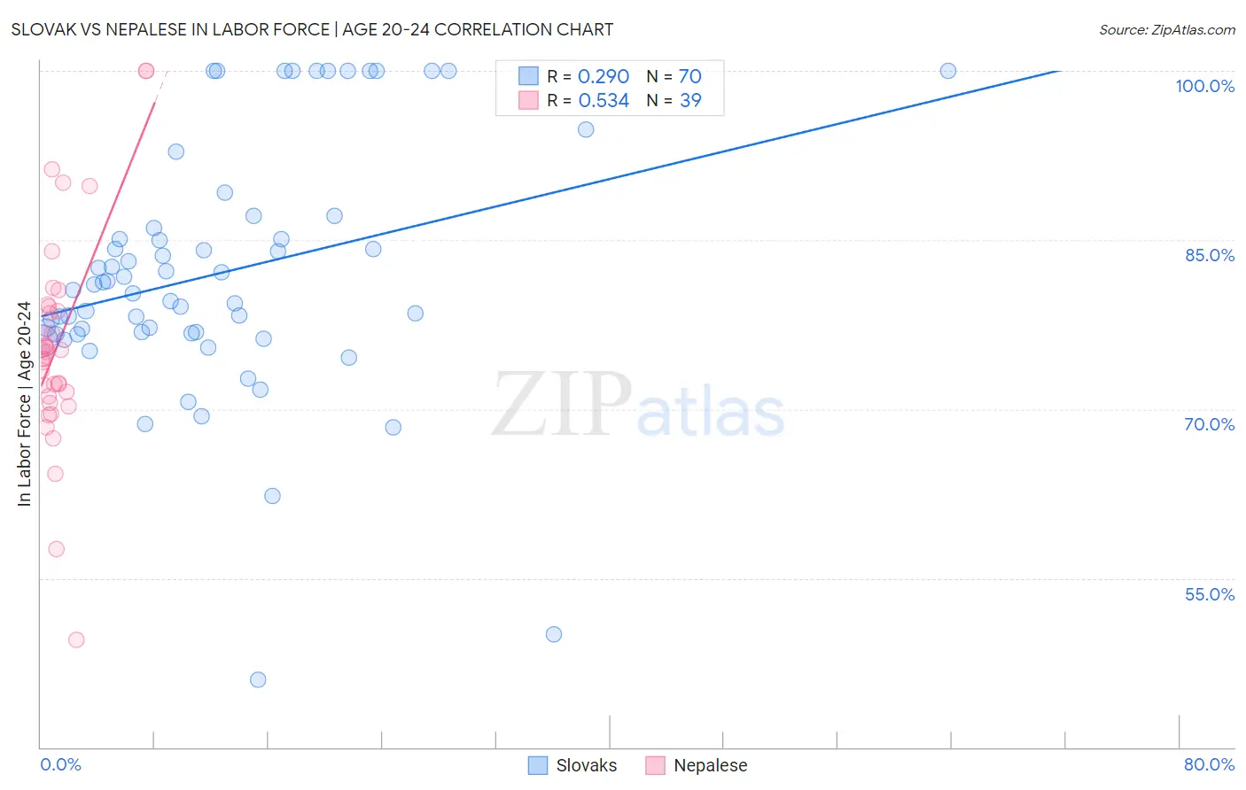 Slovak vs Nepalese In Labor Force | Age 20-24