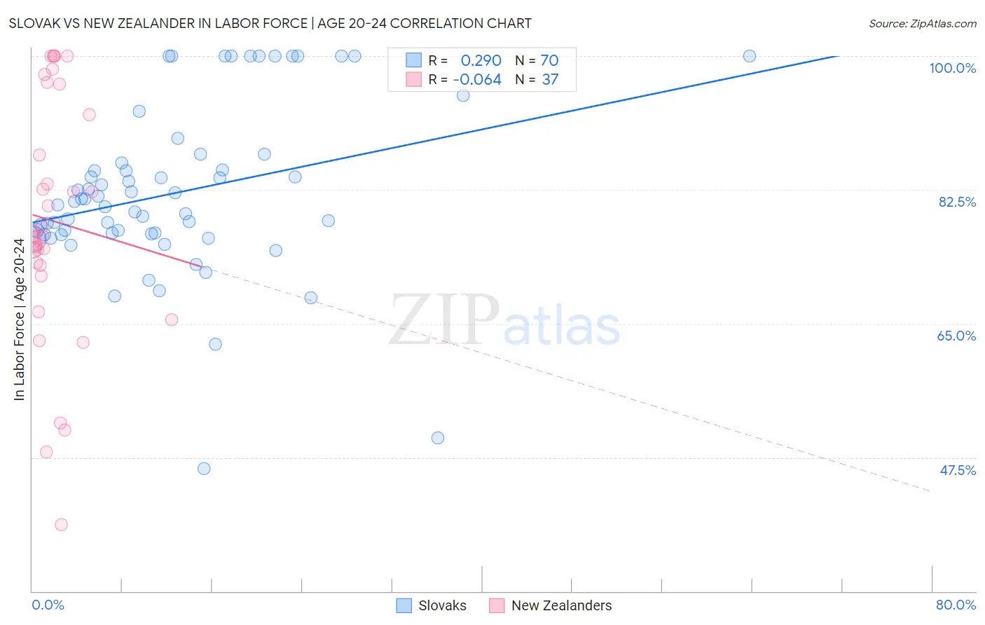 Slovak vs New Zealander In Labor Force | Age 20-24