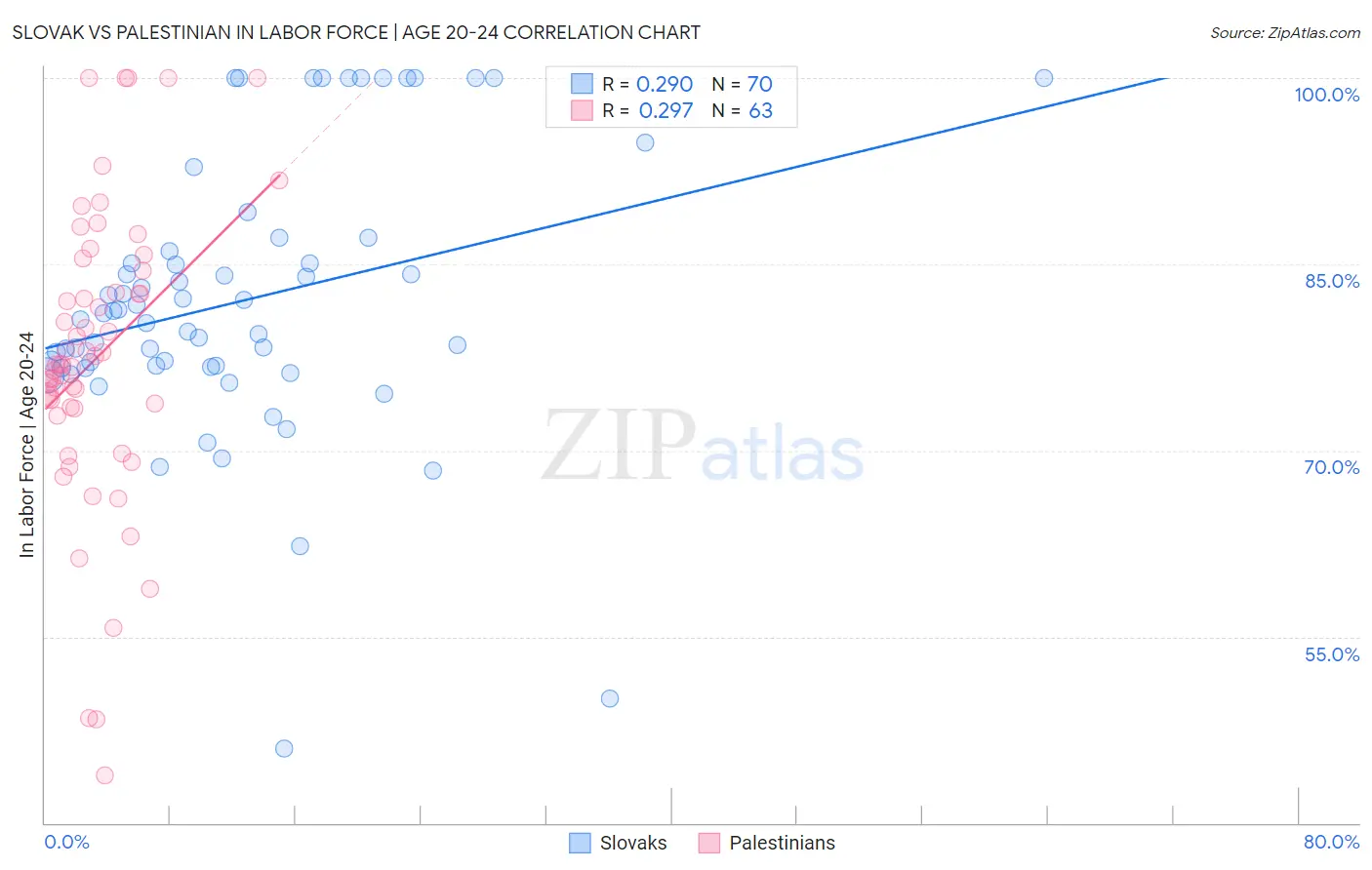 Slovak vs Palestinian In Labor Force | Age 20-24