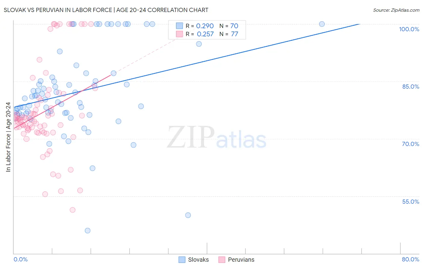 Slovak vs Peruvian In Labor Force | Age 20-24