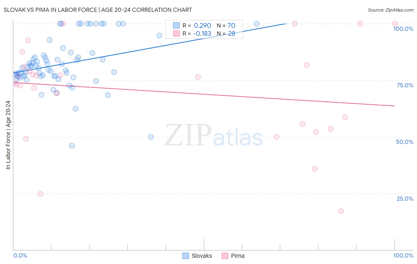 Slovak vs Pima In Labor Force | Age 20-24