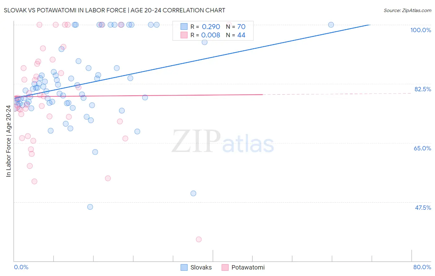 Slovak vs Potawatomi In Labor Force | Age 20-24