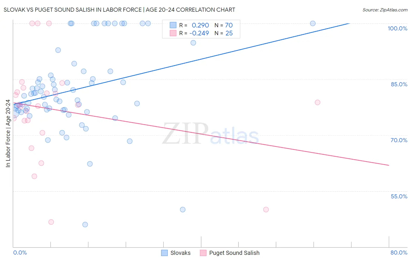 Slovak vs Puget Sound Salish In Labor Force | Age 20-24