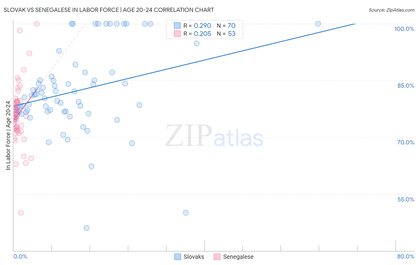 Slovak vs Senegalese In Labor Force | Age 20-24