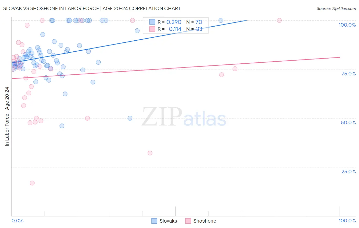 Slovak vs Shoshone In Labor Force | Age 20-24