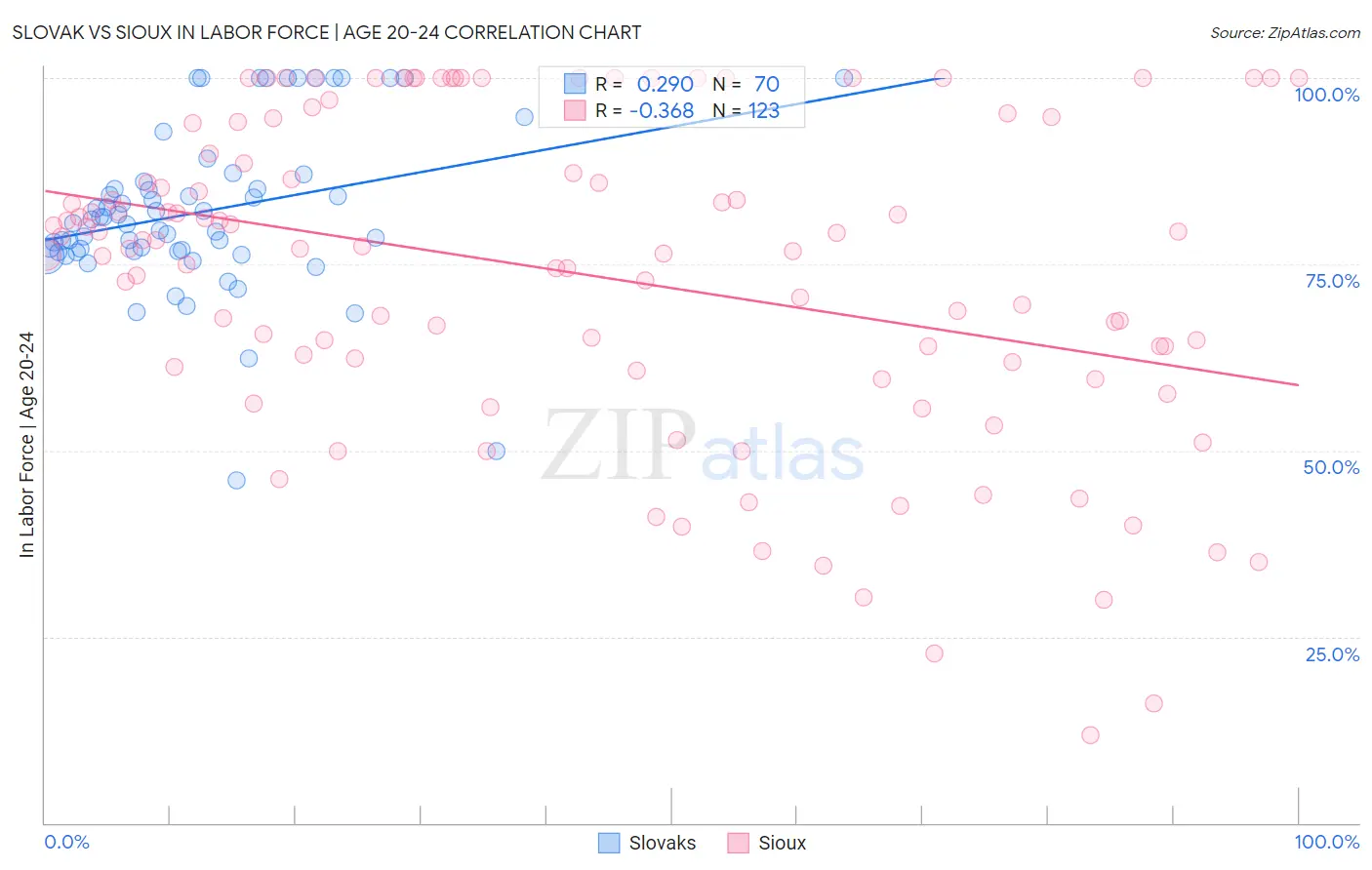 Slovak vs Sioux In Labor Force | Age 20-24