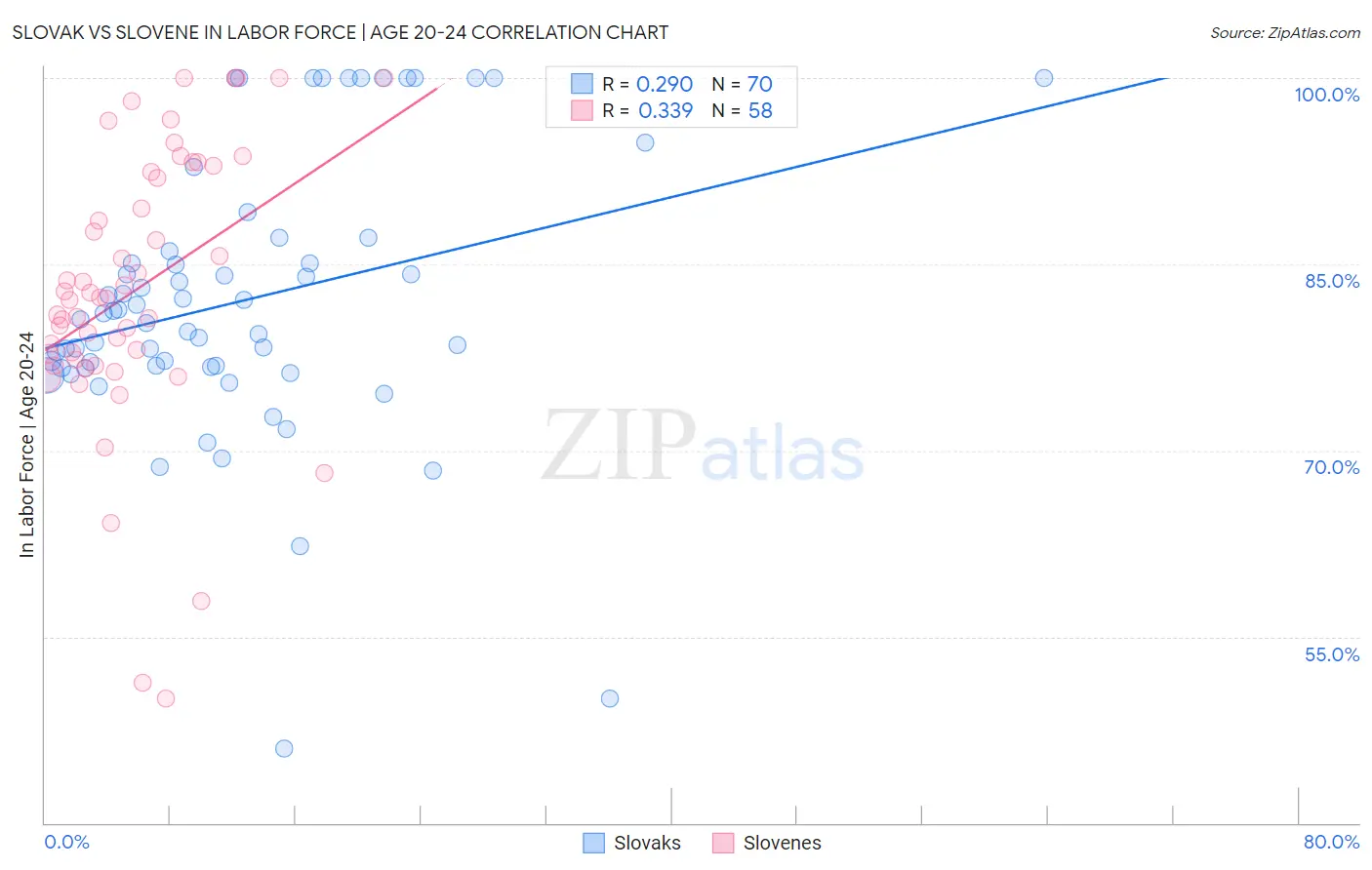 Slovak vs Slovene In Labor Force | Age 20-24