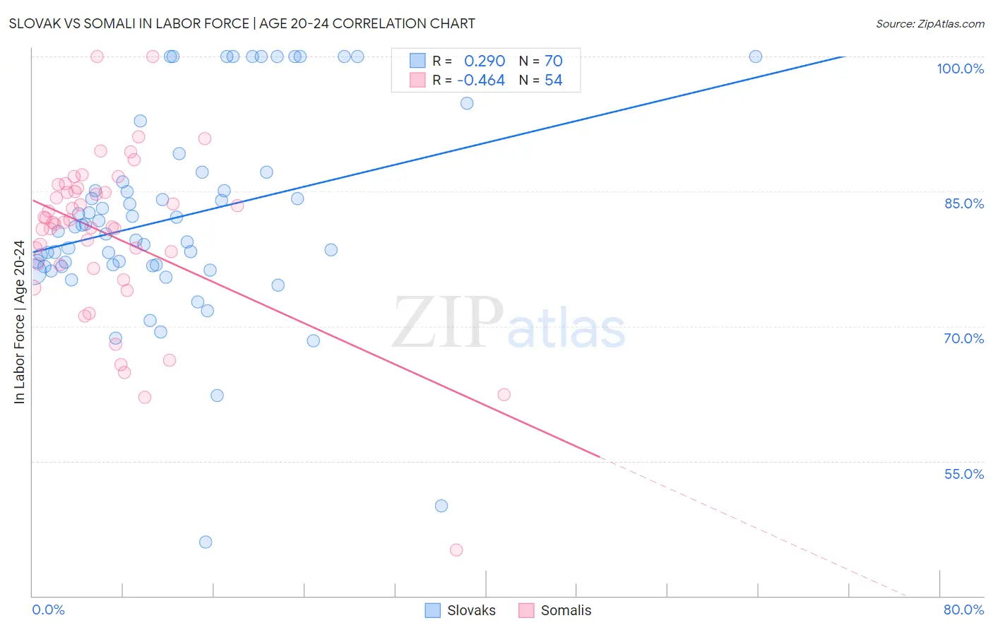 Slovak vs Somali In Labor Force | Age 20-24