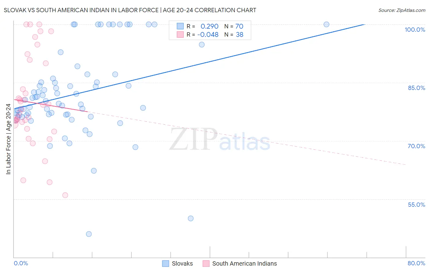 Slovak vs South American Indian In Labor Force | Age 20-24