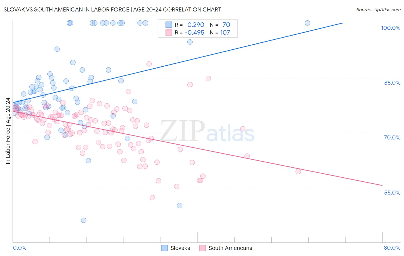 Slovak vs South American In Labor Force | Age 20-24