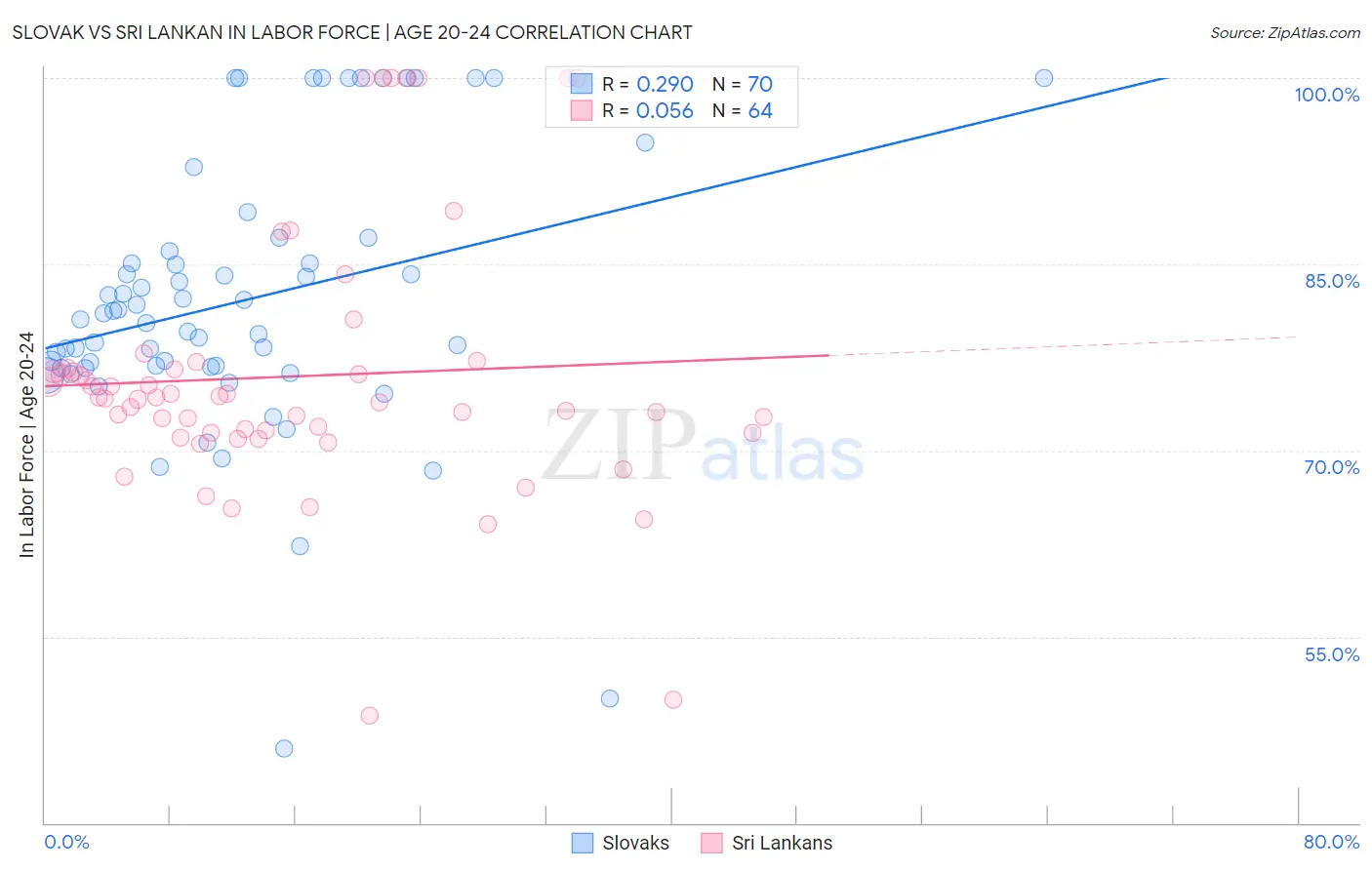 Slovak vs Sri Lankan In Labor Force | Age 20-24