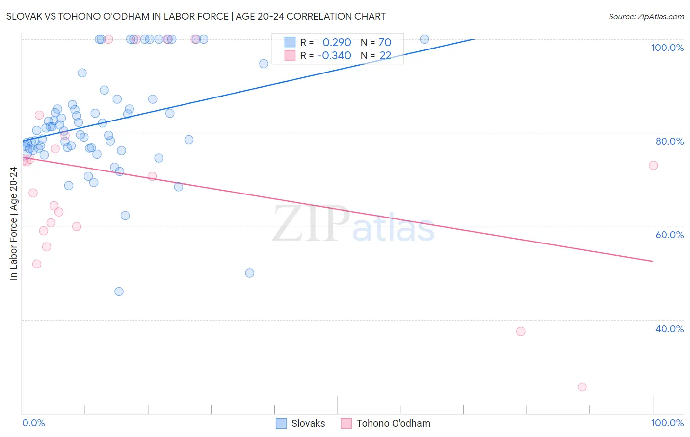 Slovak vs Tohono O'odham In Labor Force | Age 20-24