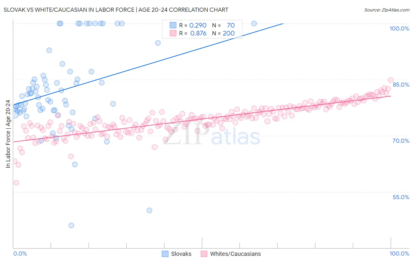 Slovak vs White/Caucasian In Labor Force | Age 20-24