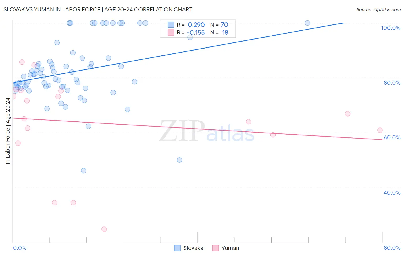 Slovak vs Yuman In Labor Force | Age 20-24