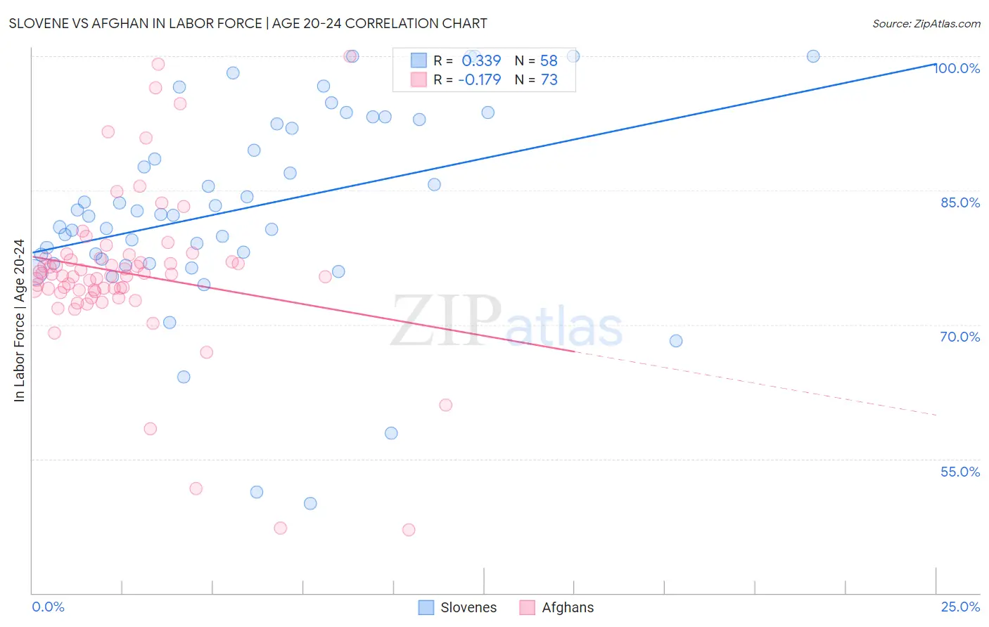 Slovene vs Afghan In Labor Force | Age 20-24