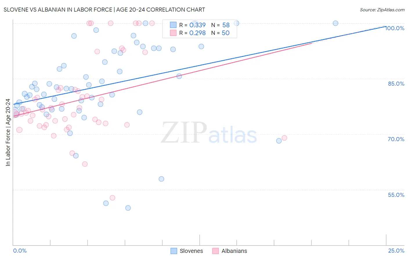 Slovene vs Albanian In Labor Force | Age 20-24