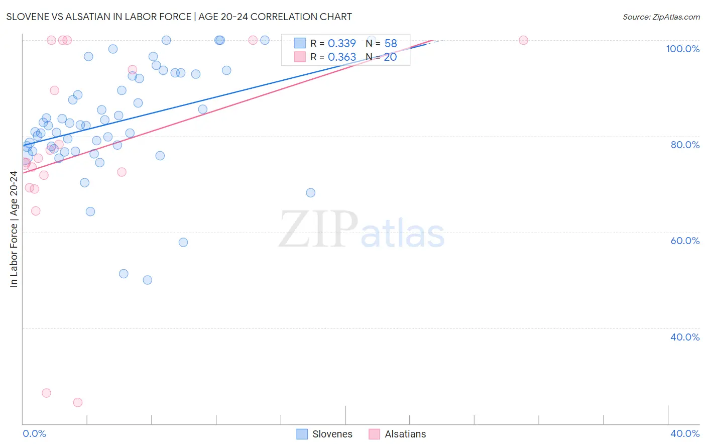 Slovene vs Alsatian In Labor Force | Age 20-24