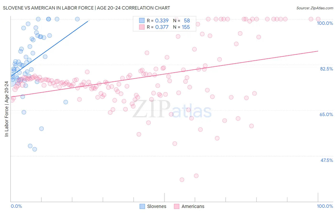 Slovene vs American In Labor Force | Age 20-24