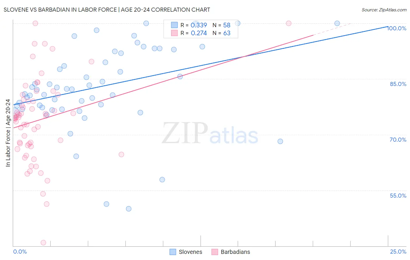 Slovene vs Barbadian In Labor Force | Age 20-24