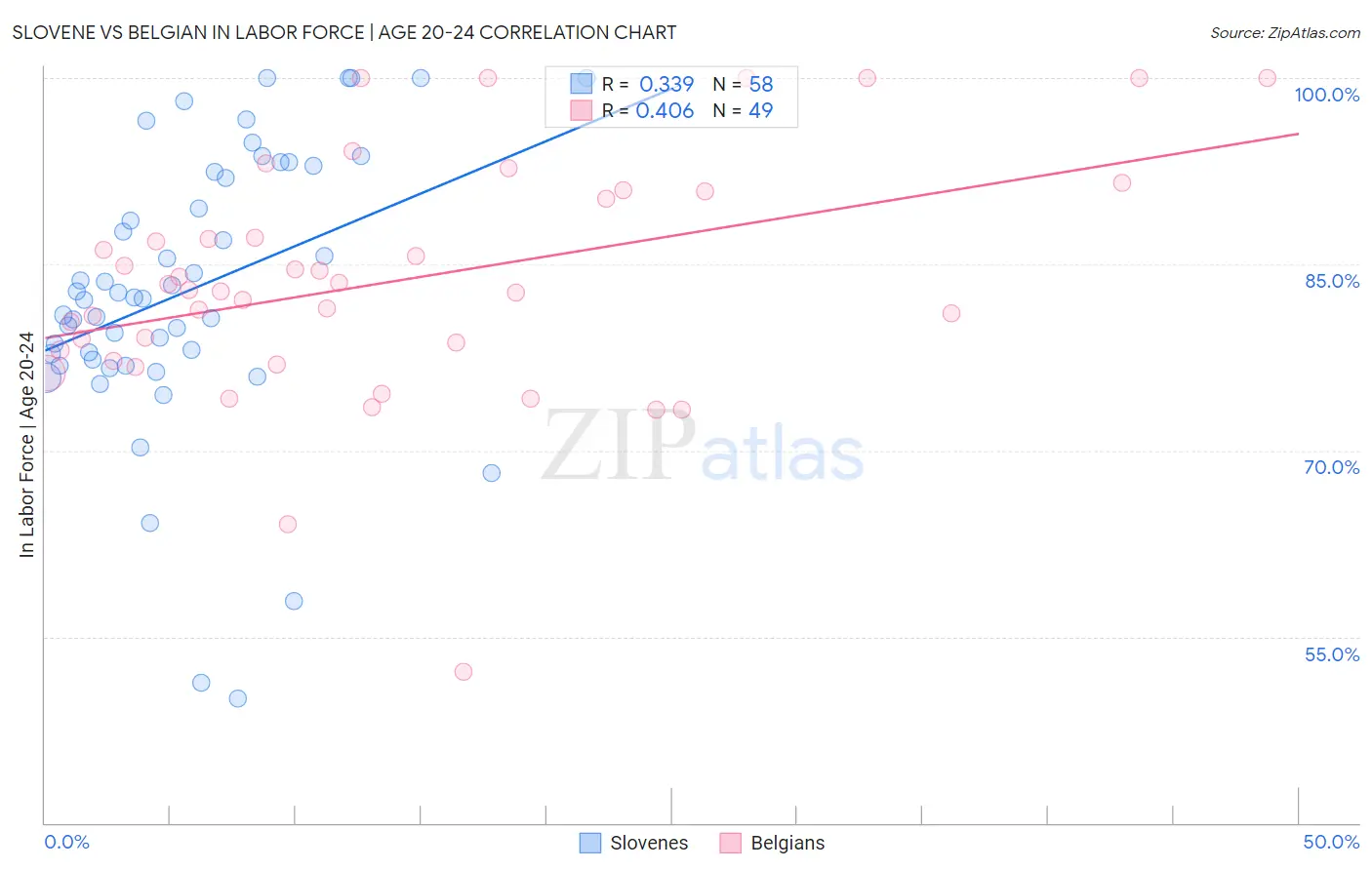 Slovene vs Belgian In Labor Force | Age 20-24