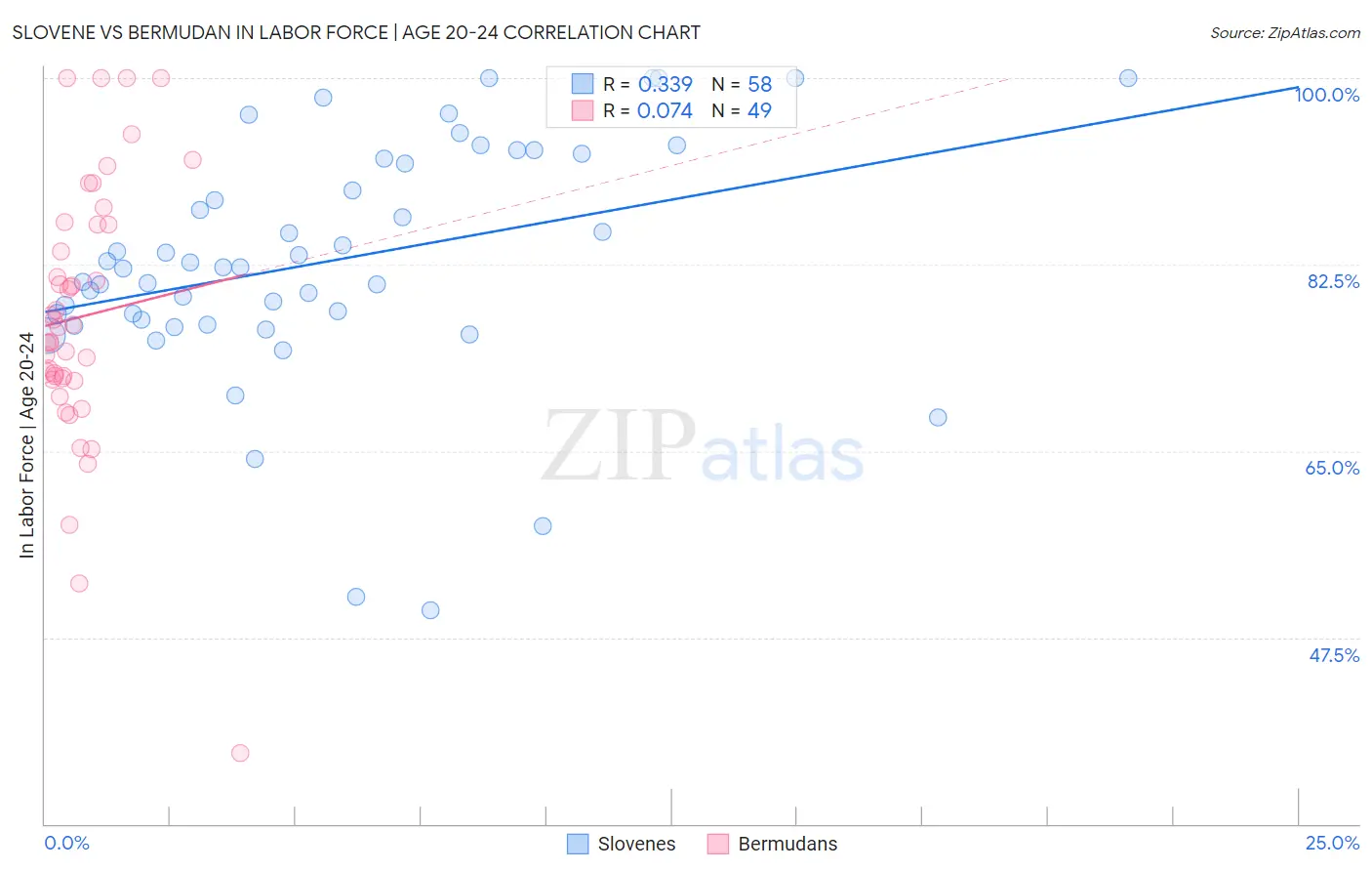 Slovene vs Bermudan In Labor Force | Age 20-24