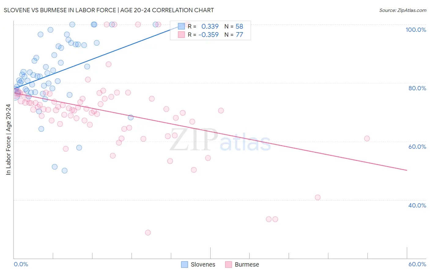Slovene vs Burmese In Labor Force | Age 20-24