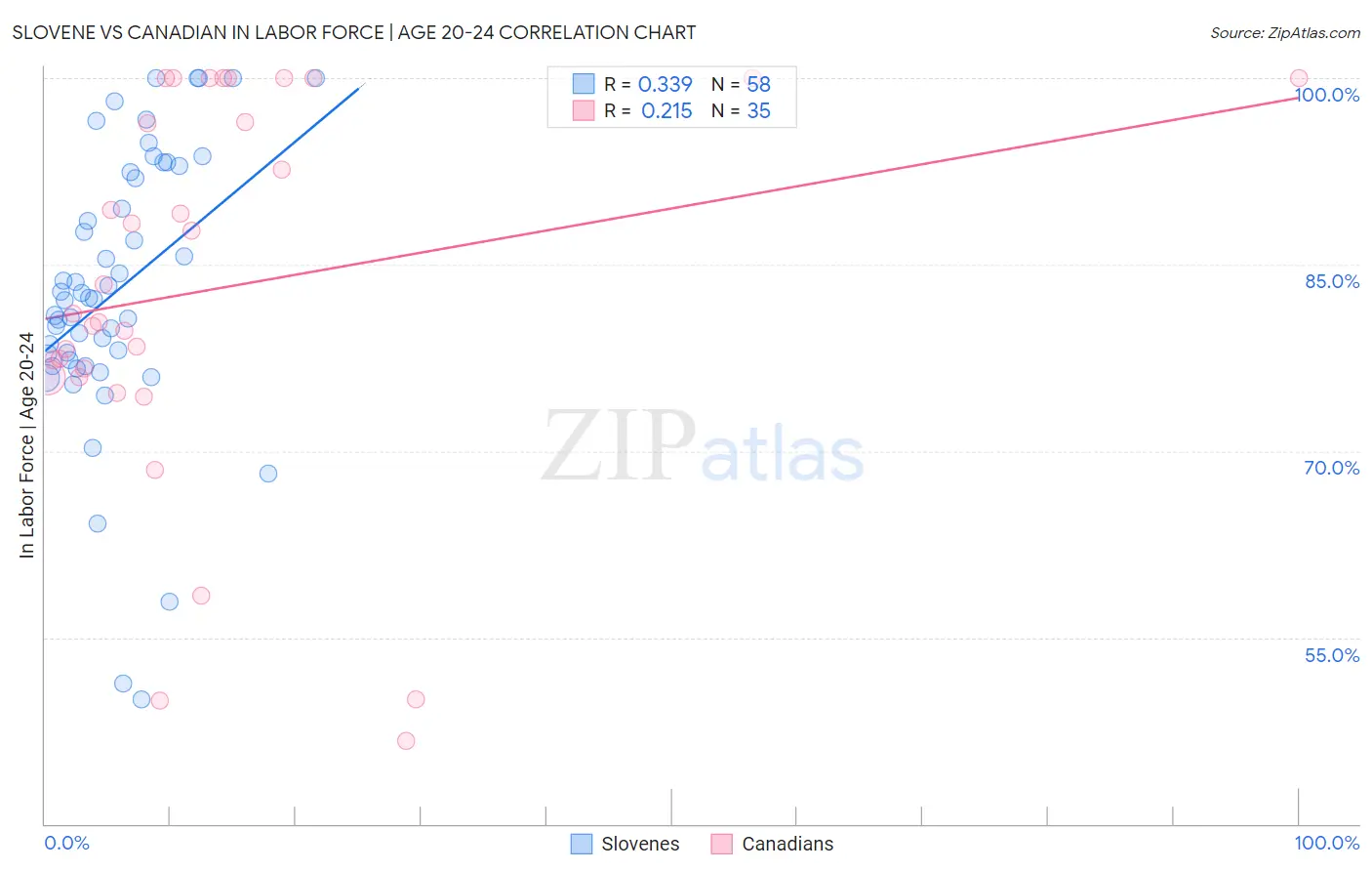 Slovene vs Canadian In Labor Force | Age 20-24