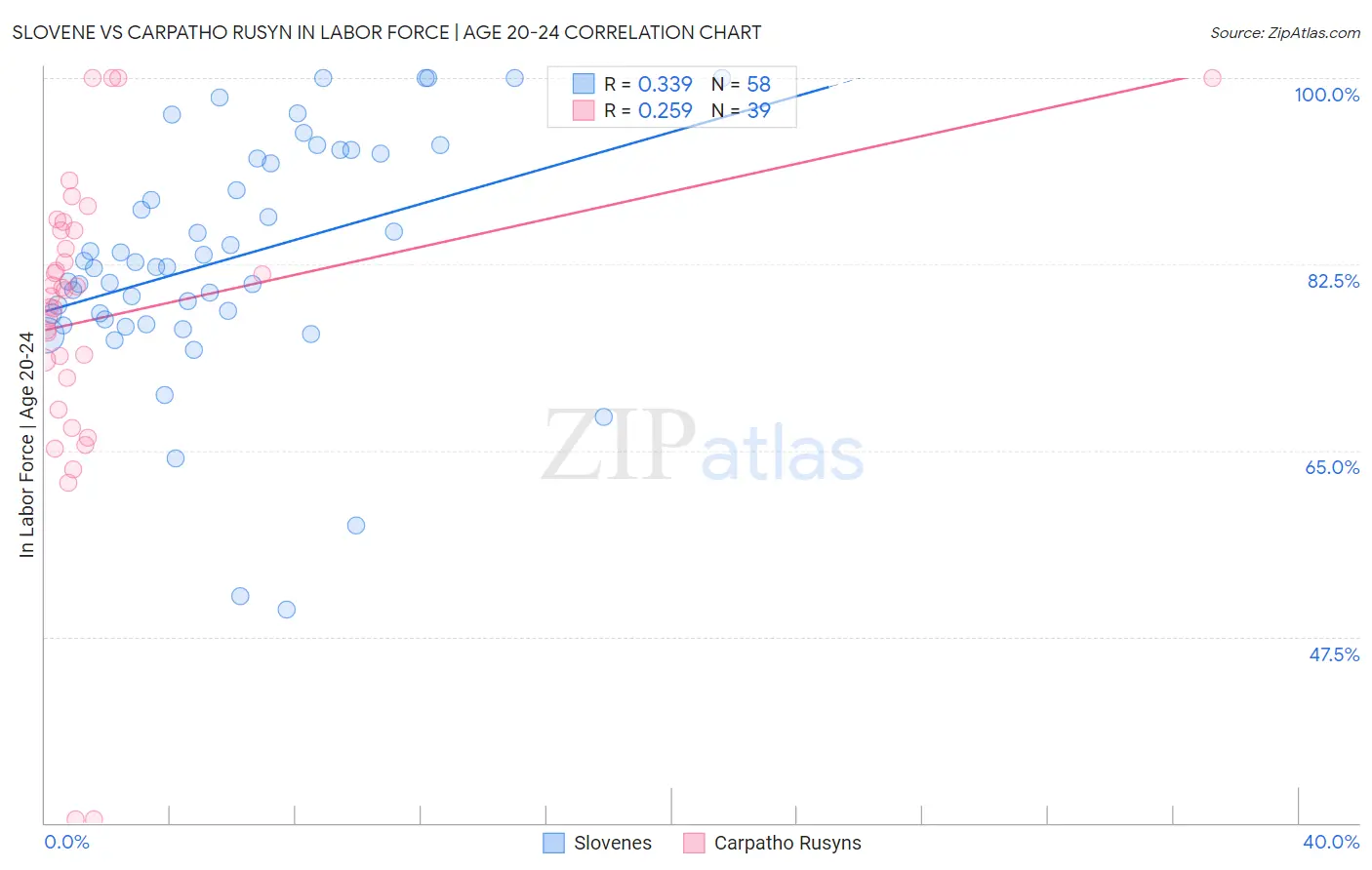 Slovene vs Carpatho Rusyn In Labor Force | Age 20-24