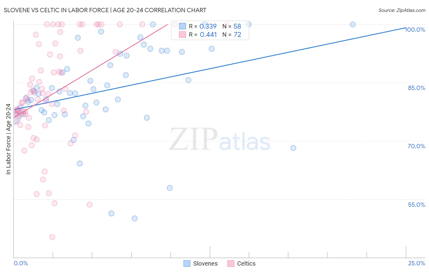 Slovene vs Celtic In Labor Force | Age 20-24