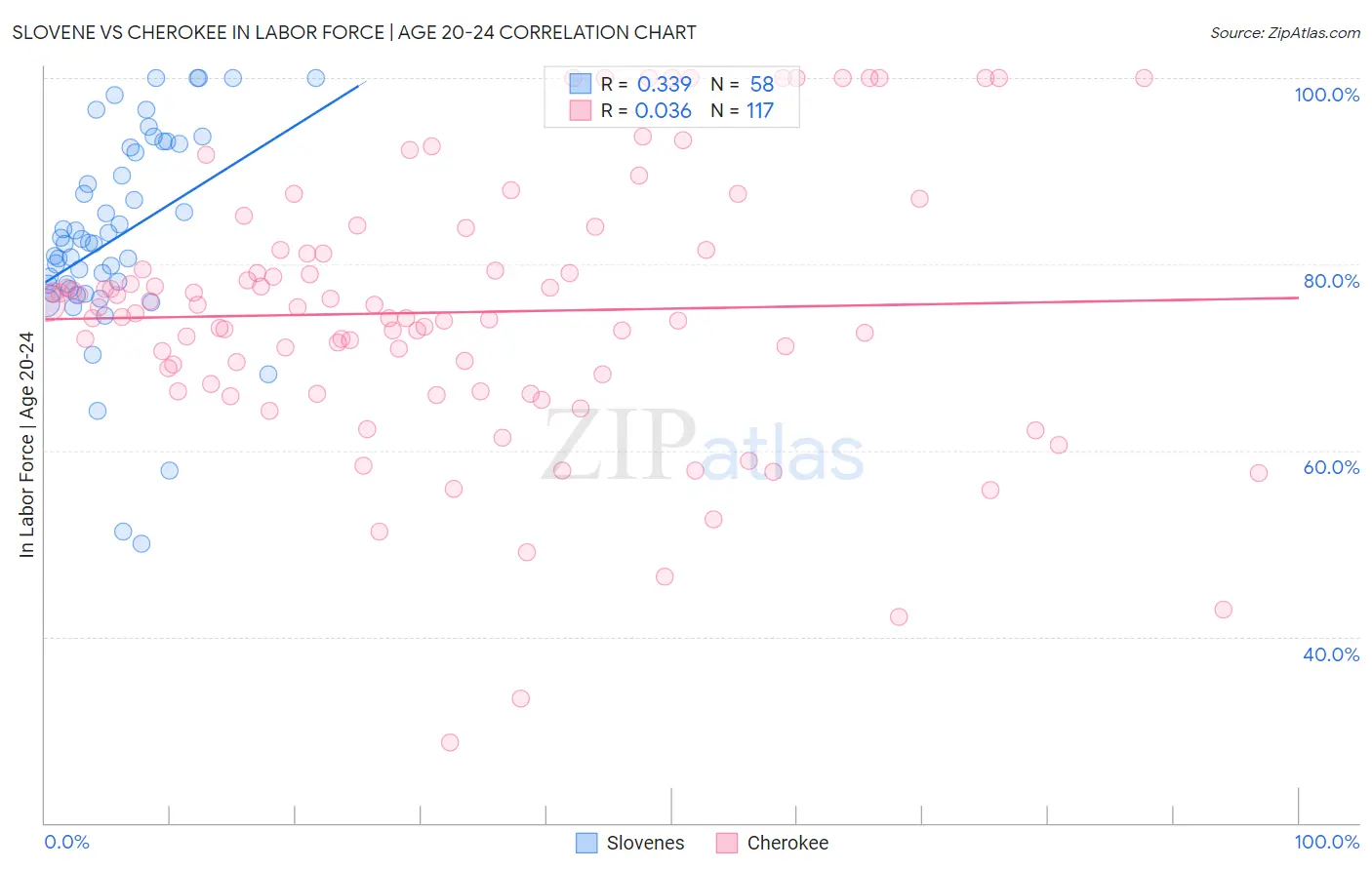 Slovene vs Cherokee In Labor Force | Age 20-24