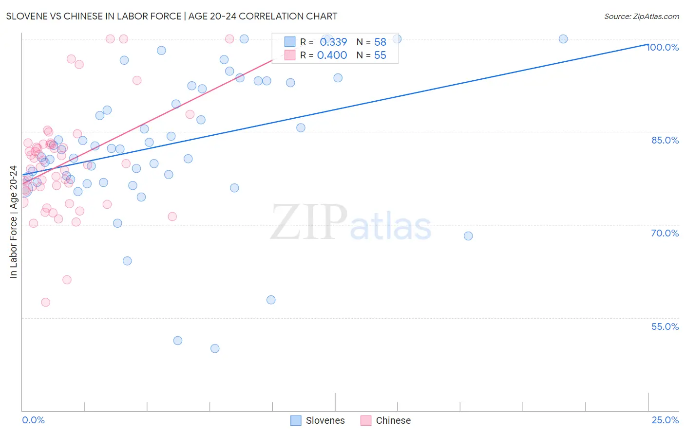 Slovene vs Chinese In Labor Force | Age 20-24