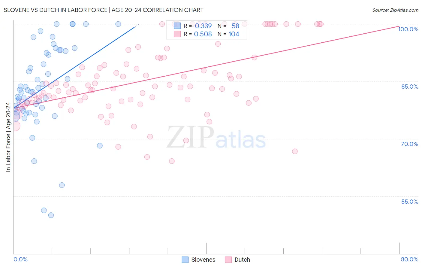 Slovene vs Dutch In Labor Force | Age 20-24
