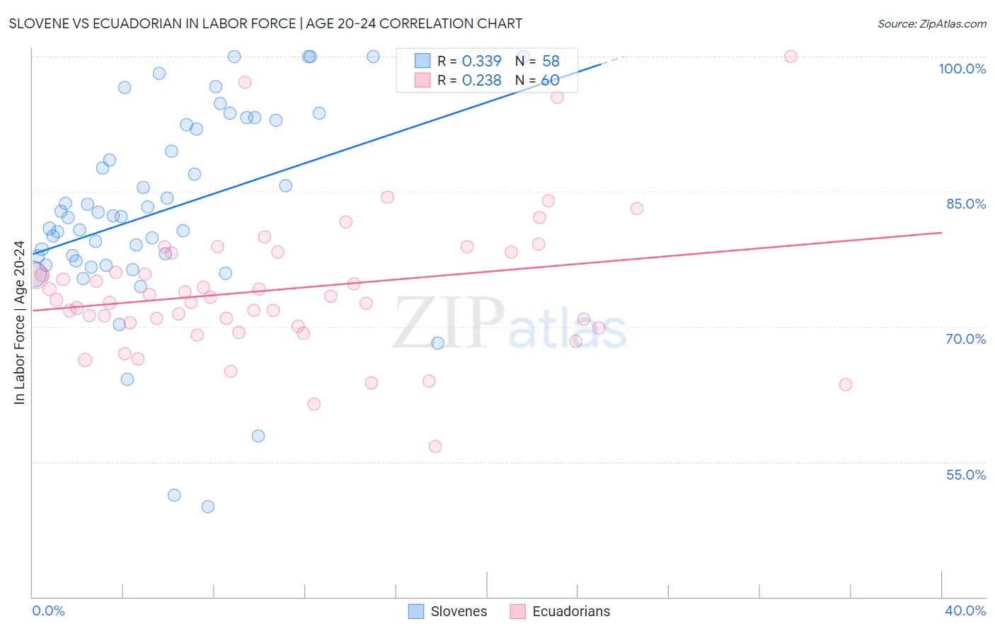 Slovene vs Ecuadorian In Labor Force | Age 20-24
