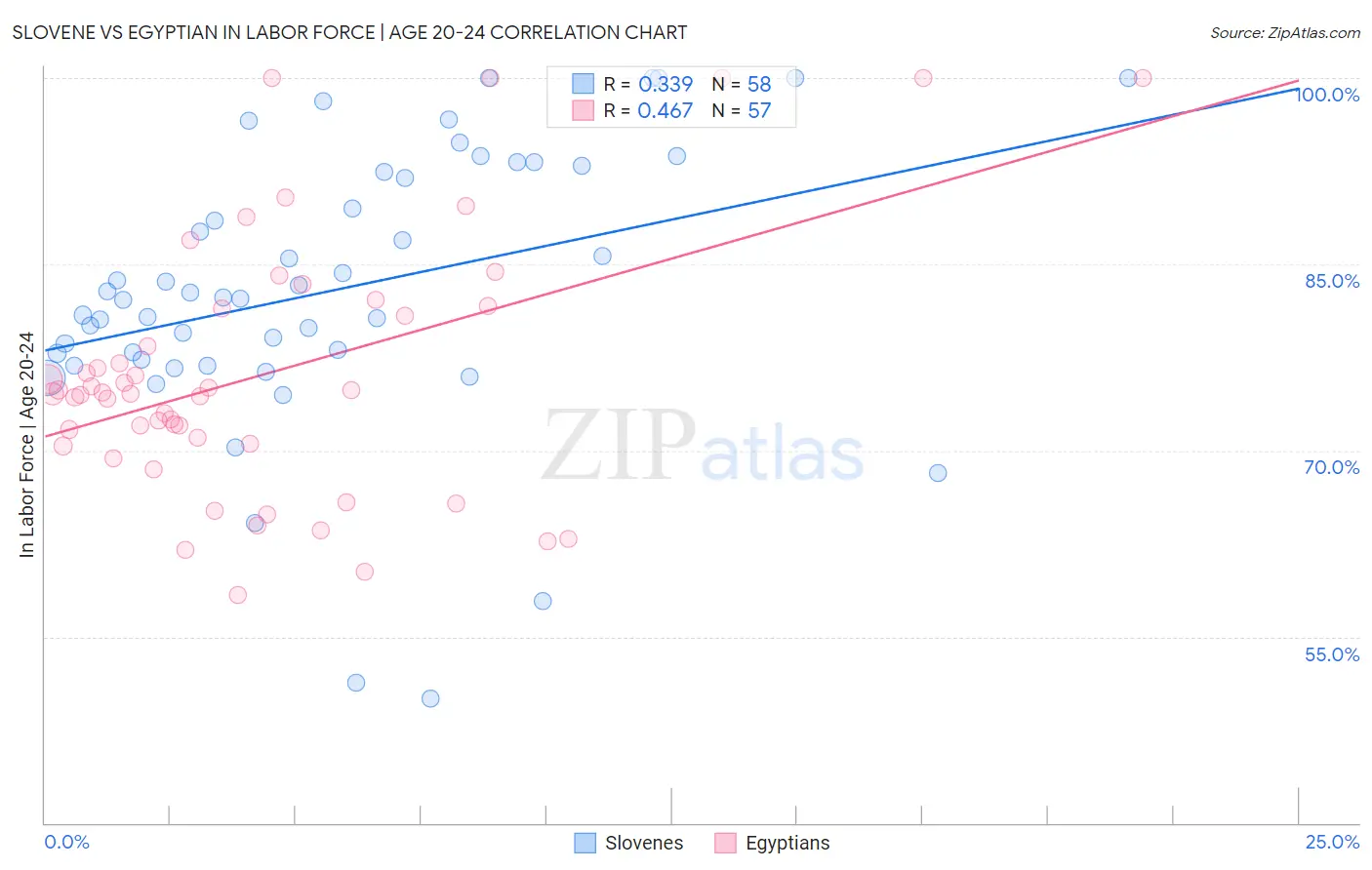 Slovene vs Egyptian In Labor Force | Age 20-24