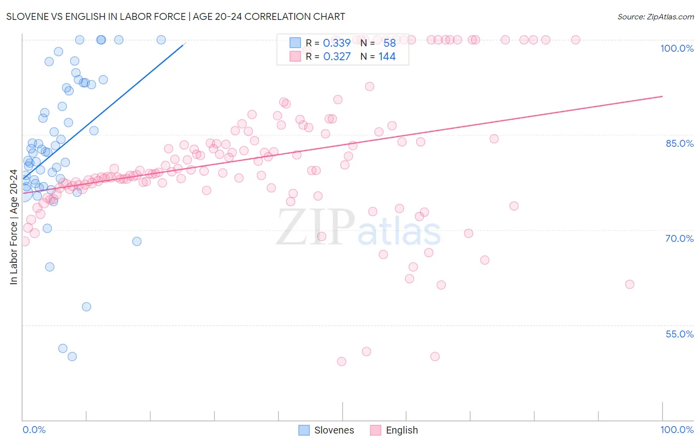 Slovene vs English In Labor Force | Age 20-24