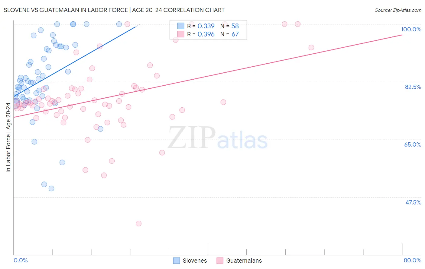 Slovene vs Guatemalan In Labor Force | Age 20-24