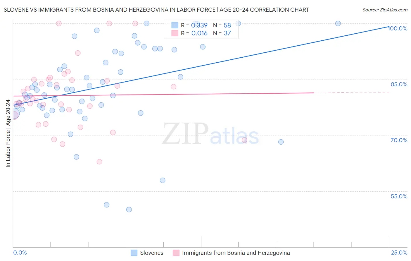 Slovene vs Immigrants from Bosnia and Herzegovina In Labor Force | Age 20-24