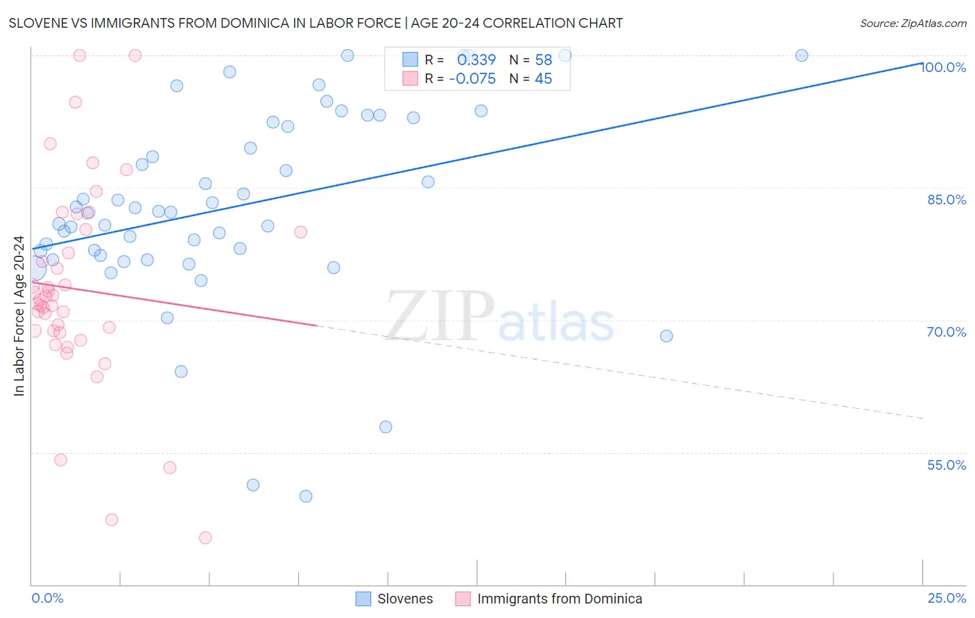 Slovene vs Immigrants from Dominica In Labor Force | Age 20-24