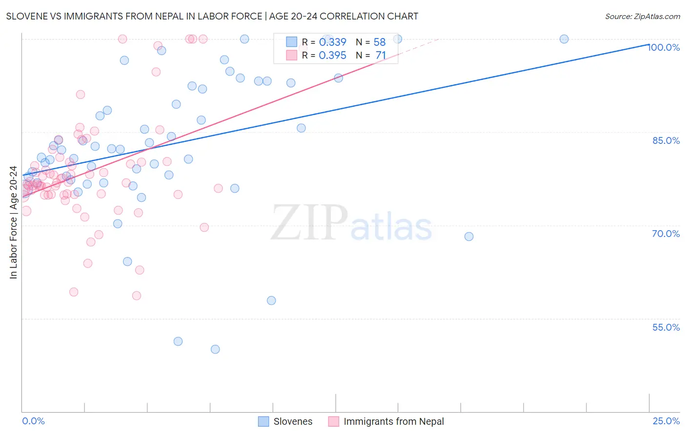 Slovene vs Immigrants from Nepal In Labor Force | Age 20-24