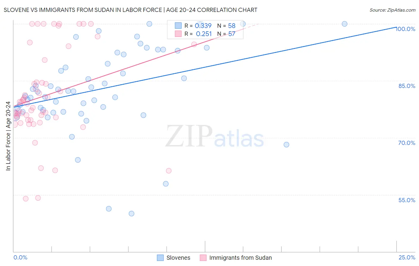 Slovene vs Immigrants from Sudan In Labor Force | Age 20-24