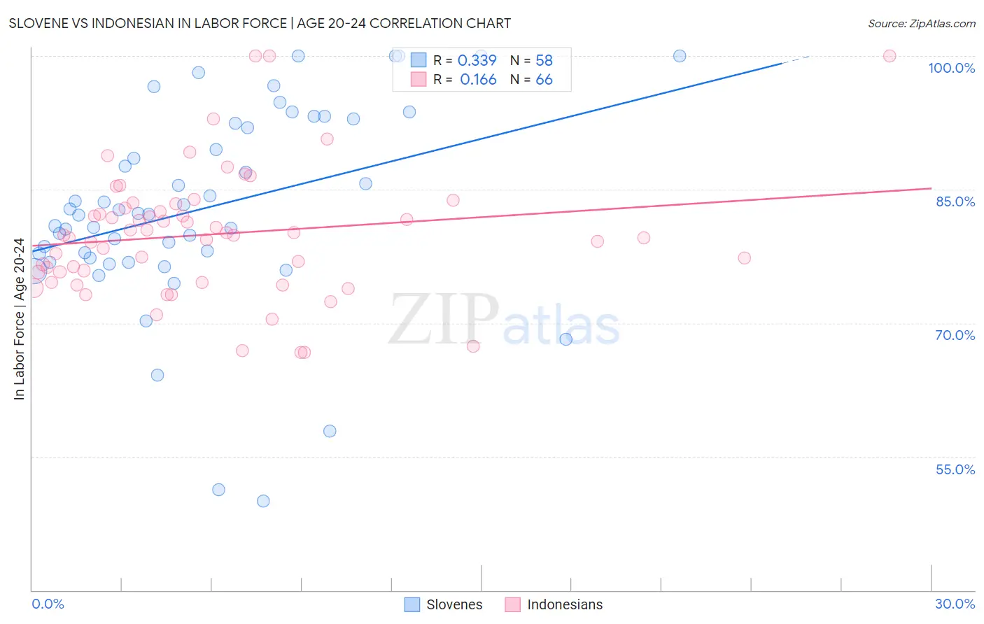 Slovene vs Indonesian In Labor Force | Age 20-24