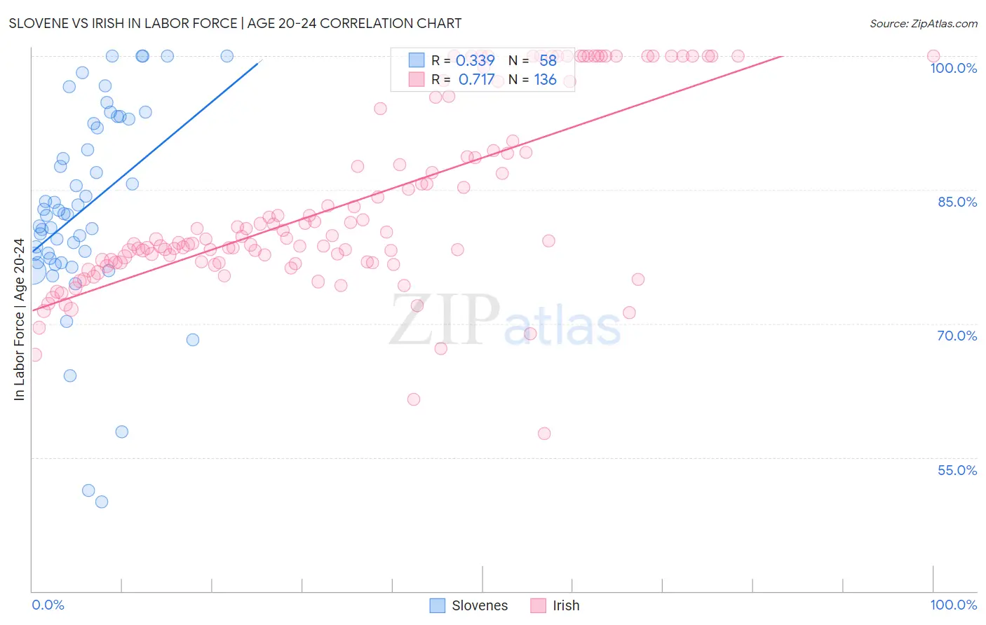 Slovene vs Irish In Labor Force | Age 20-24