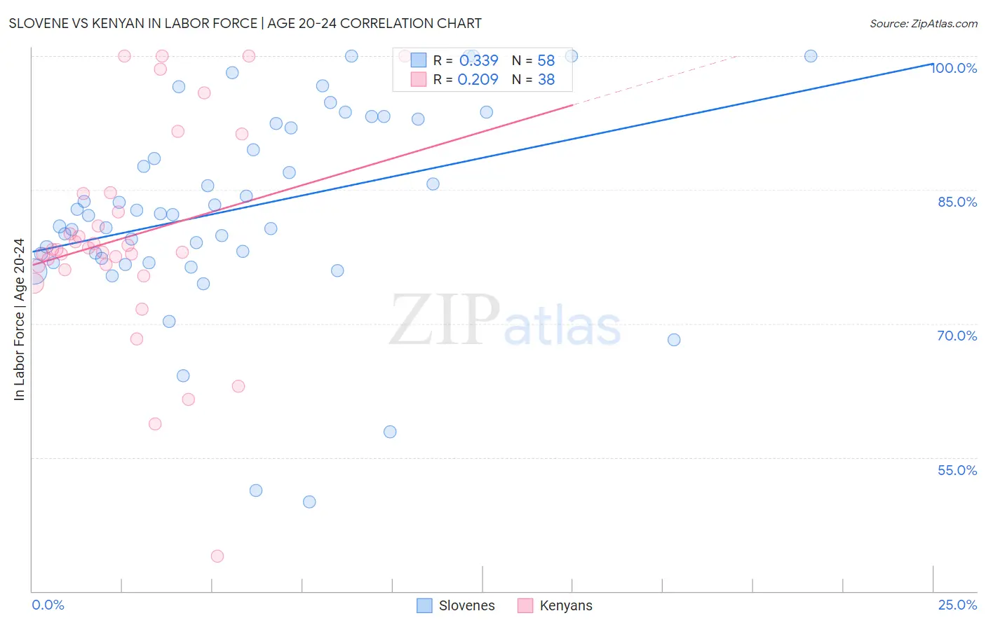 Slovene vs Kenyan In Labor Force | Age 20-24