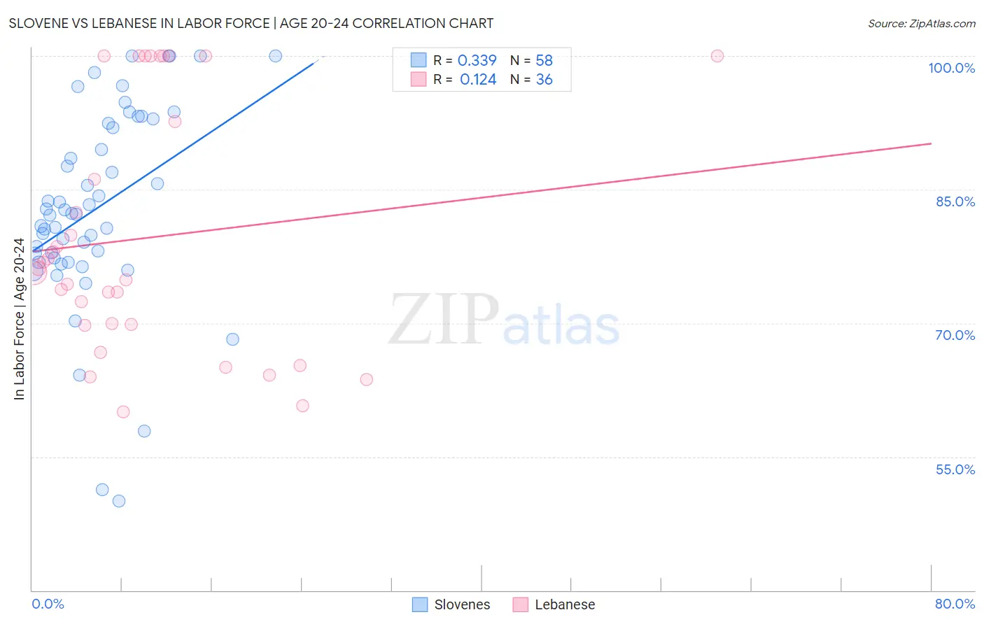 Slovene vs Lebanese In Labor Force | Age 20-24