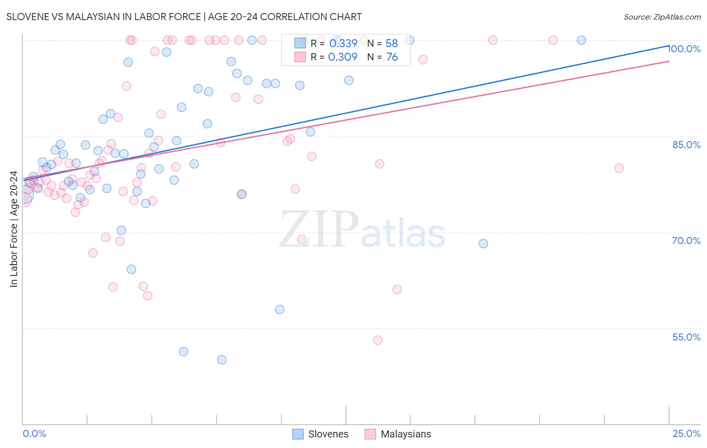 Slovene vs Malaysian In Labor Force | Age 20-24