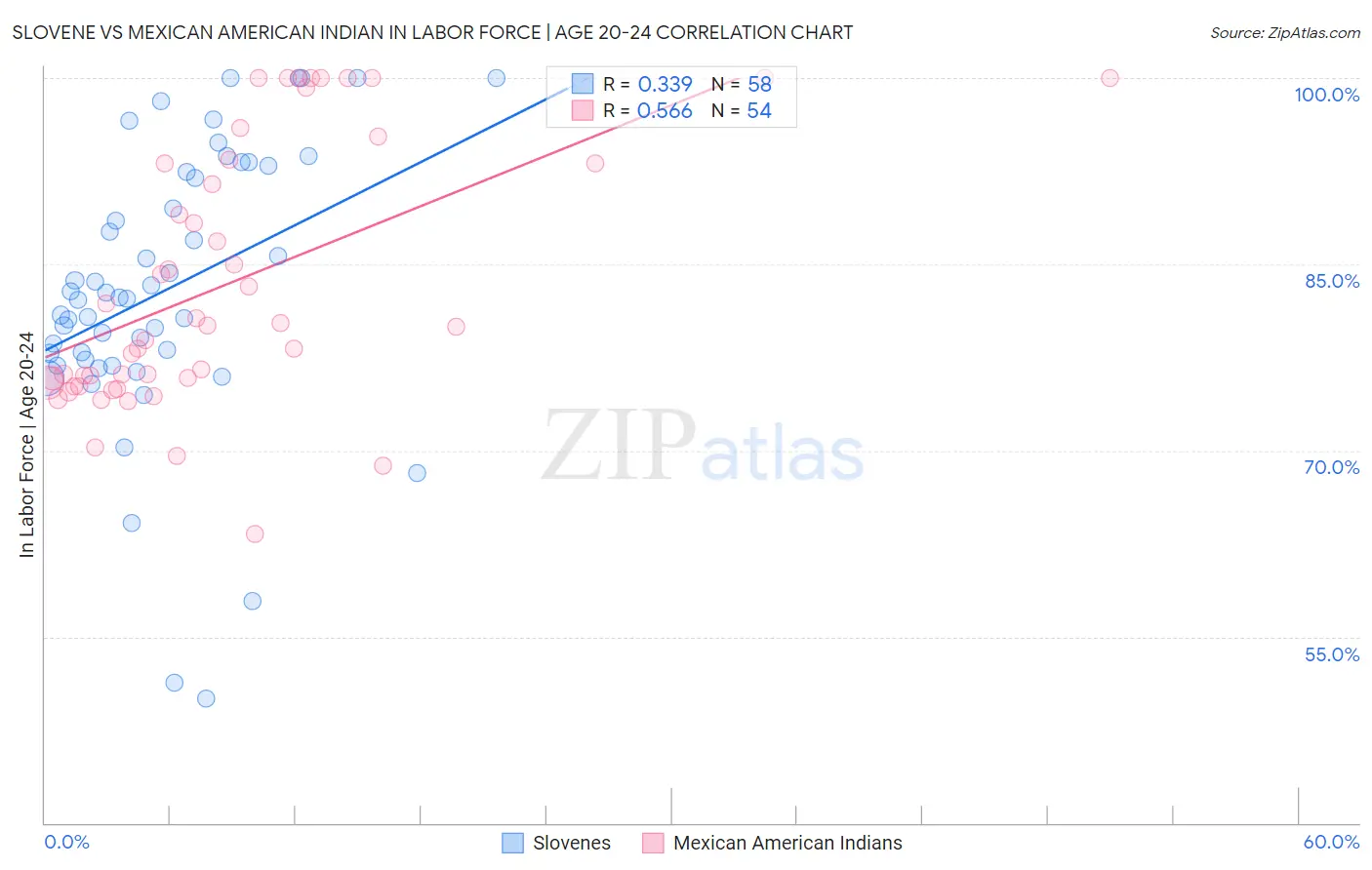 Slovene vs Mexican American Indian In Labor Force | Age 20-24