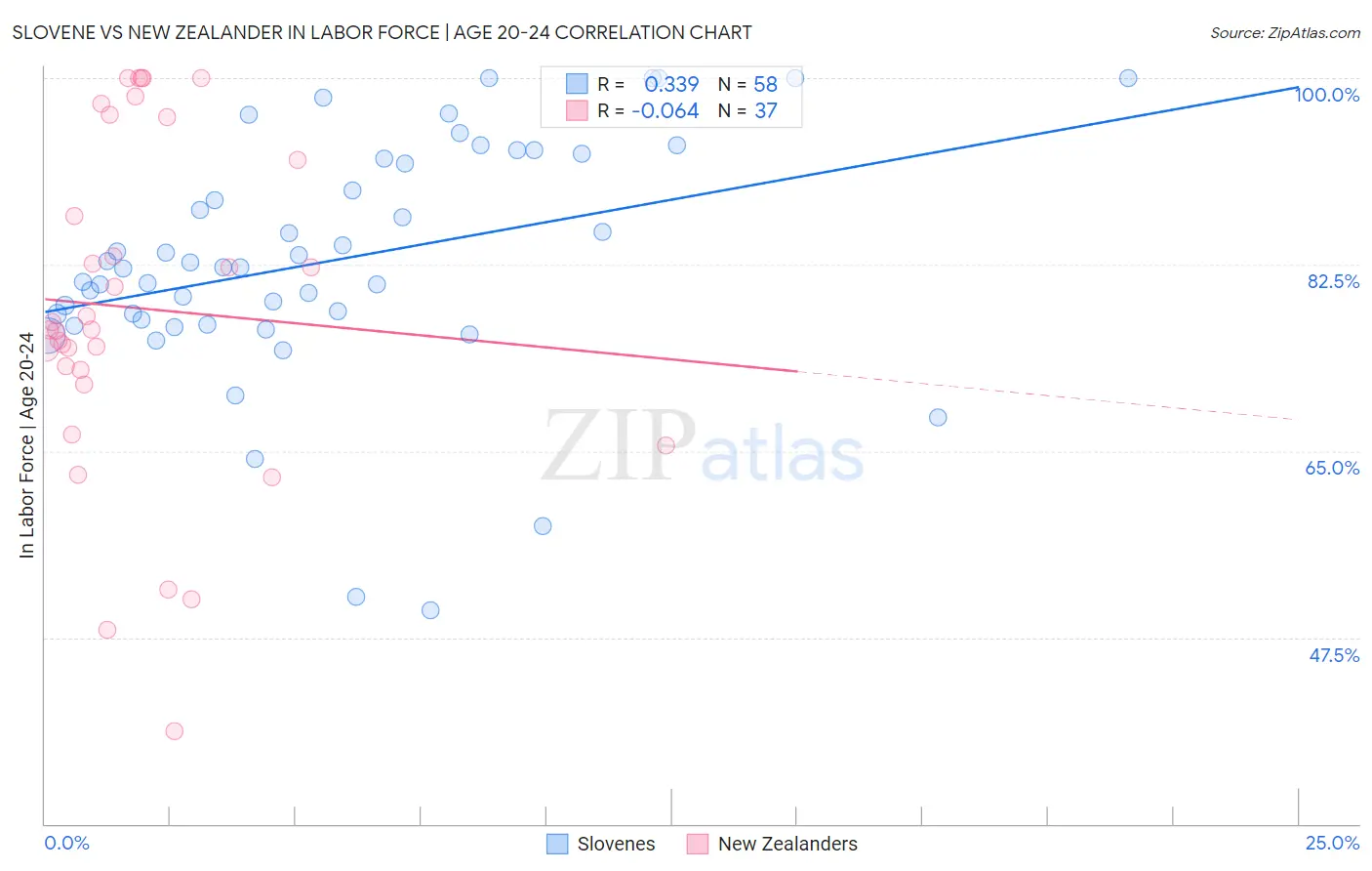 Slovene vs New Zealander In Labor Force | Age 20-24