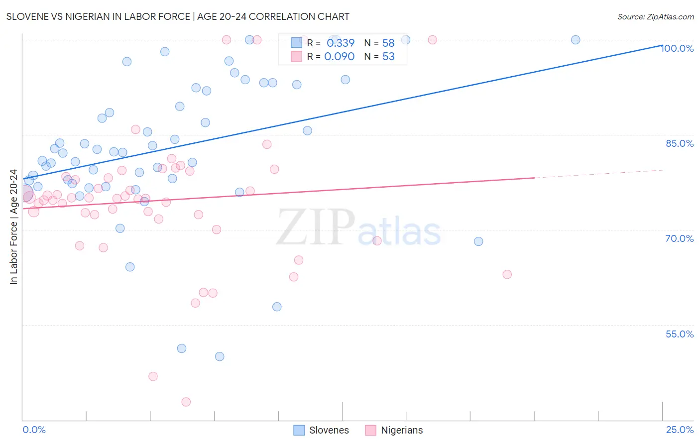 Slovene vs Nigerian In Labor Force | Age 20-24